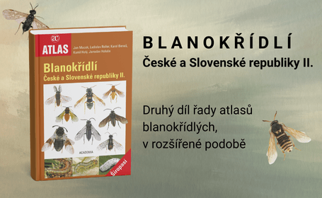 Blanokřídlí
