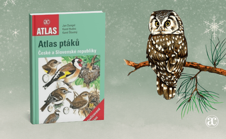Atlas ptáků