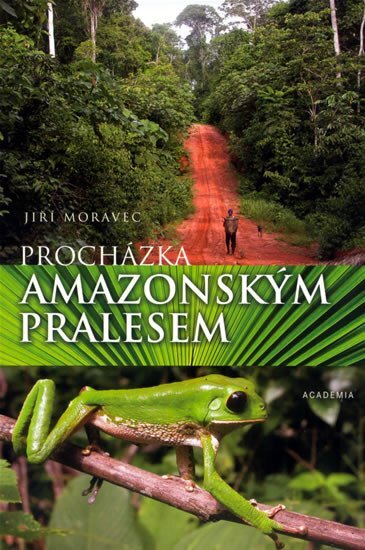 Procházka amazonským pralesem