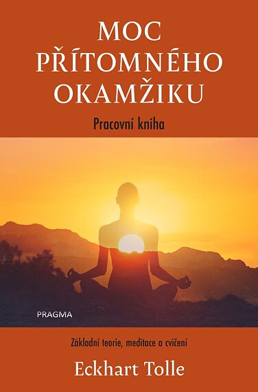 Moc přítomného okamžiku: Pracovní kniha