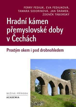 Hradní kámen přemyslovské doby v Čechách