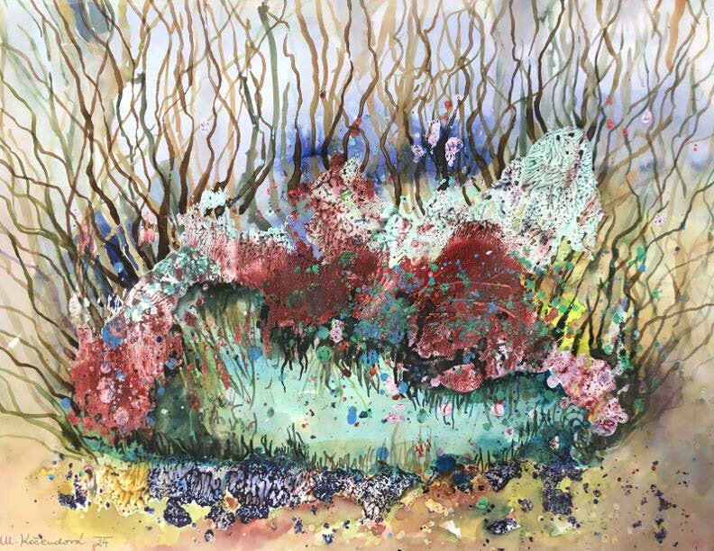 Výstava Moniky Kočendové "Stopy hub a jiných světů"