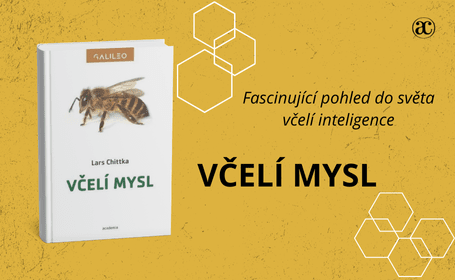 Včelí mysl
