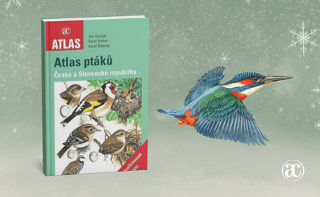 Atlas ptáků