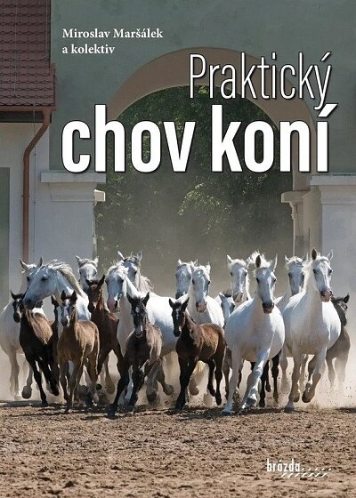 Praktický chov koní