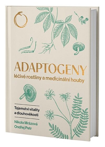 Adaptogeny léčivé rostliny a medicinální houby