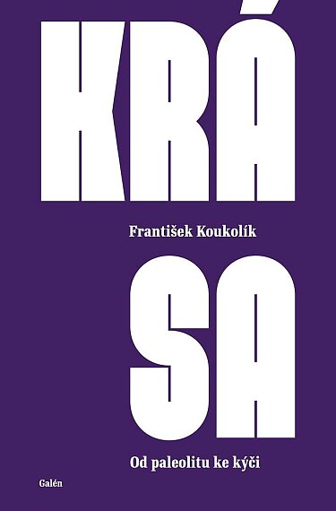 Krása. Od paleolitu ke kýči