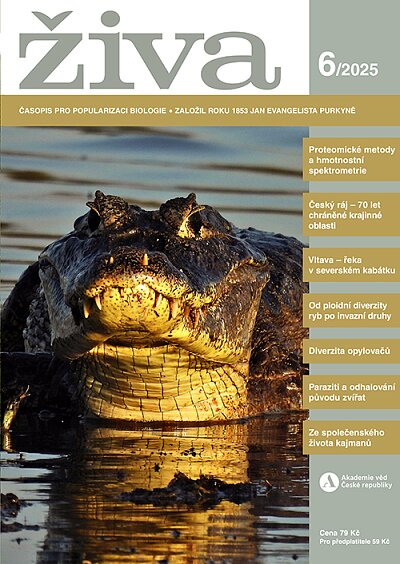 Živa 6/2025