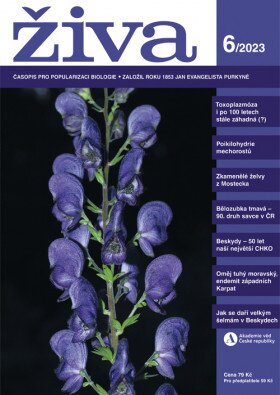 Živa 6/2023