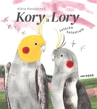 Kory a Lory Letecká katastrofa