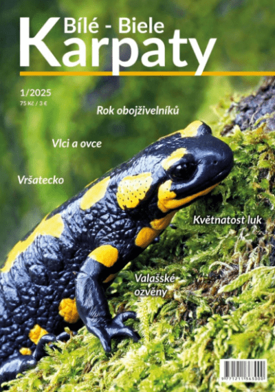 Bílé Biele Karpaty 1/2025