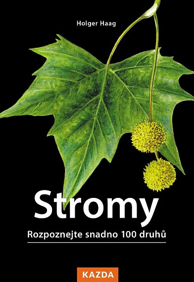 Stromy. Rozpoznejte snadno 100 druhů