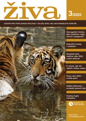 Živa 3/2022