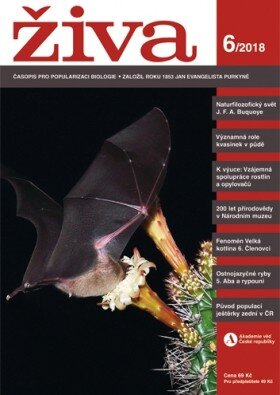 ŽIVA 6/2018