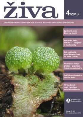 Živa 4/2018