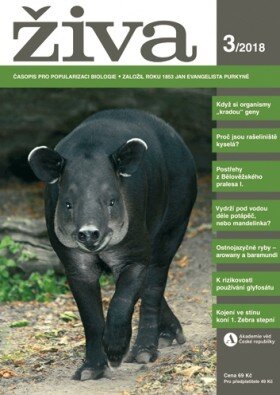 Živa 3/2018