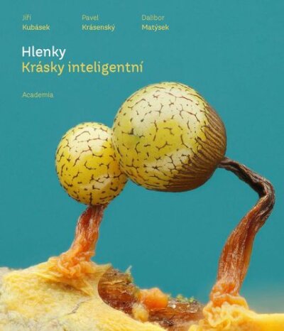 Hlenky. Krásky inteligentní