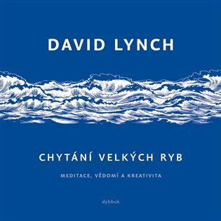 Chytání velkých ryb