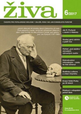 Živa 6/2017