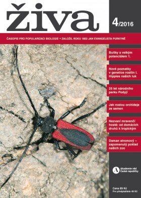 Živa 4/2016