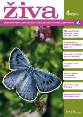 Živa 4/2011