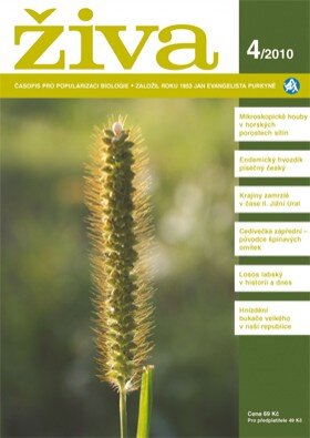 Živa 4/2010