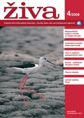 Živa 4/2008
