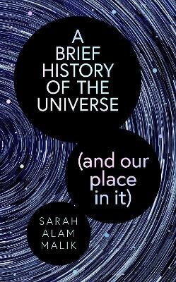 A Brief History of the Universe