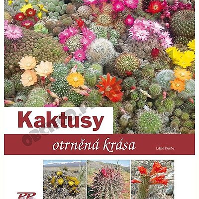 Kaktusy Otrněná krása