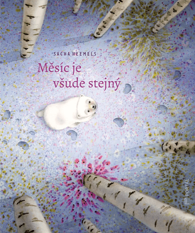 Měsíc je všude stejný