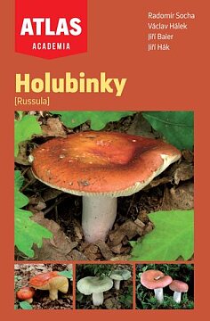 Holubinky, 2. dotisk
