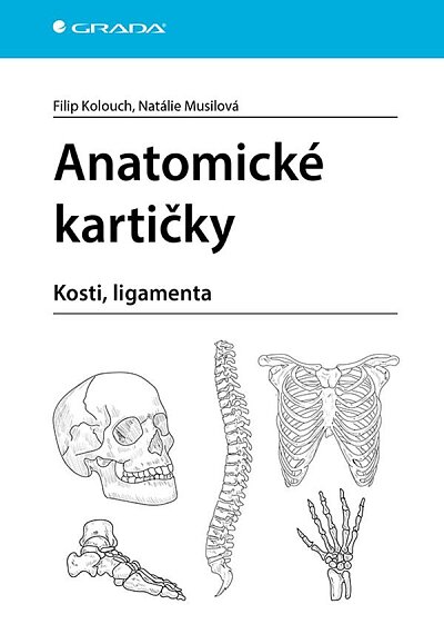Anatomické kartičky - Kosti, ligemanta