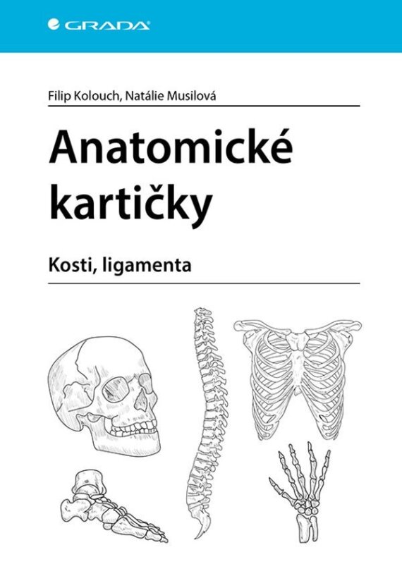 Anatomické kartičky - Kosti, ligemanta