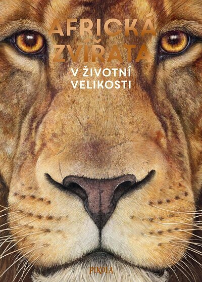 Africká zvířata v životní velikosti