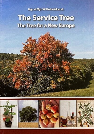 The Service Tree The Tree for a New Europe