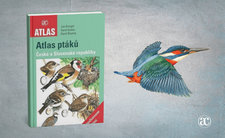 Atlas ptáků