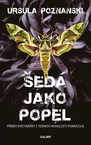 Šedá jako popel (Vanitas 2)