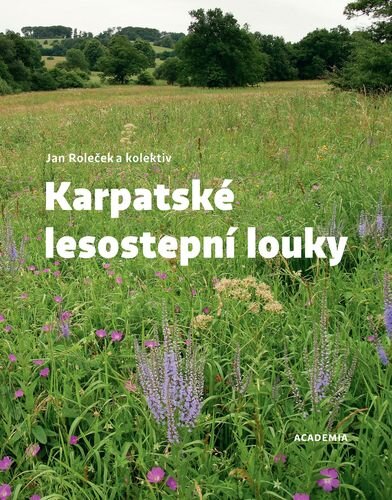 Karpatské lesostepní louky