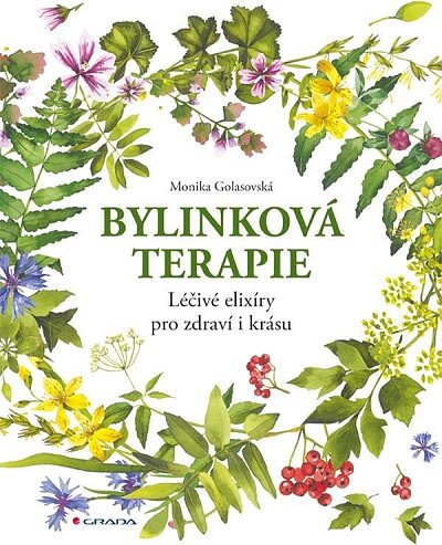 Bylinková terapie. Léčivé elixíry pro zdraví i krásu