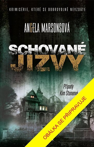 Schované jizvy (Případy Kim Stoneové 17)