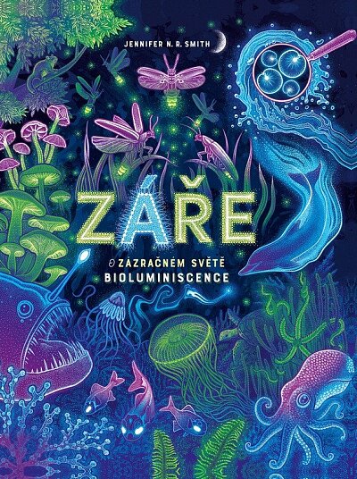 Záře