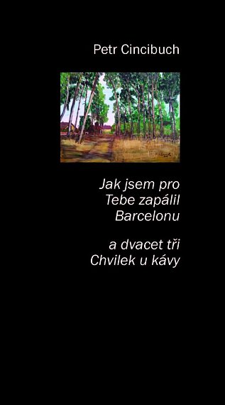 Jak jsem pro tebe zapálil Barcelonu