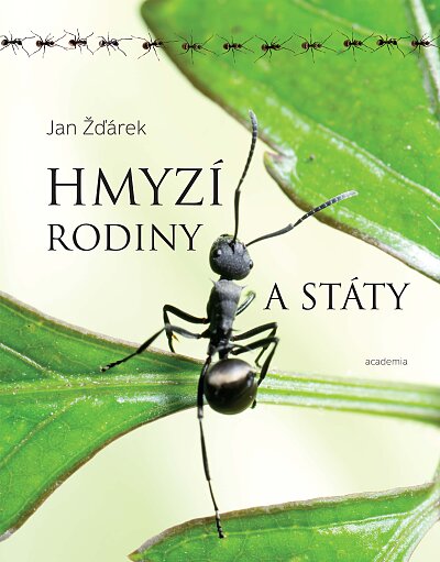 Insect Families and States