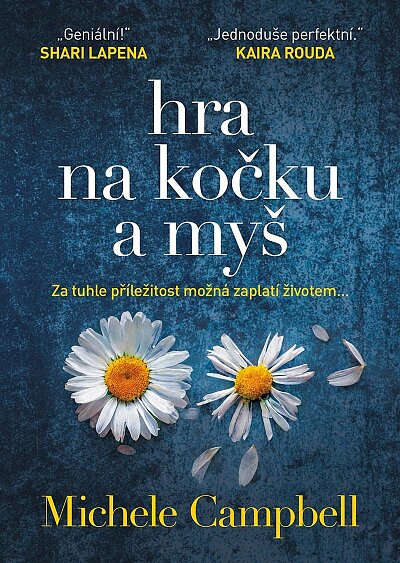 Hra na kočku a na myš