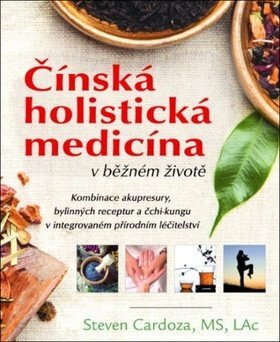 Čínská holistická medicína