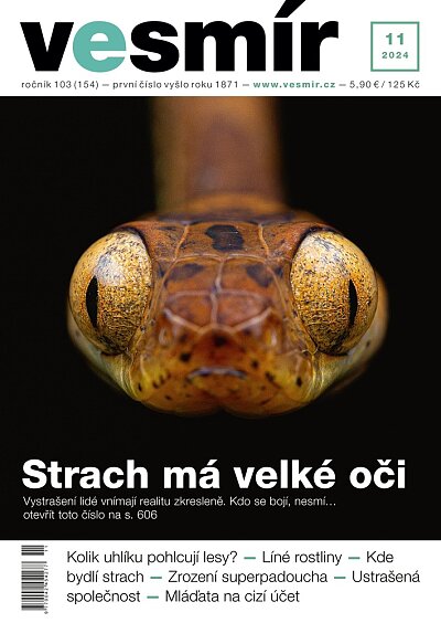 Vesmír 11/2024