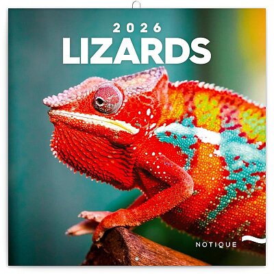 Lizards 2026