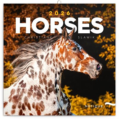 Horses 2026