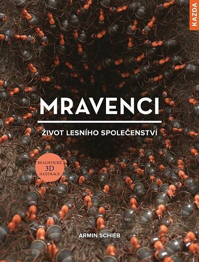 Mravenci Život lesního společenství