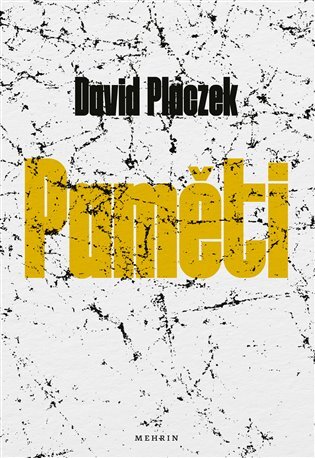 Paměti